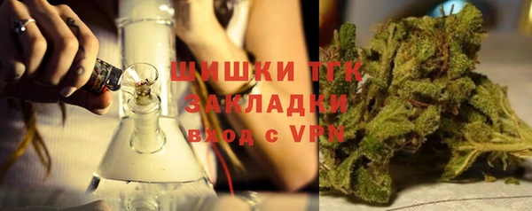 PSILOCYBIN Елабуга