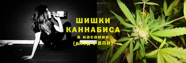 крисы Елизово