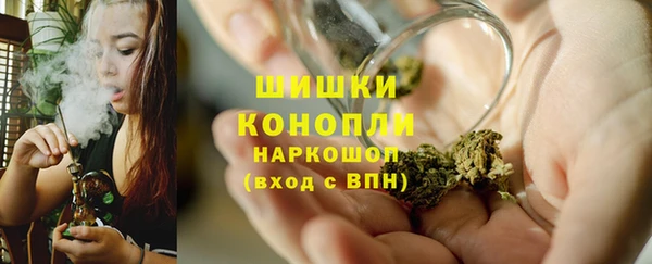 крисы Елизово