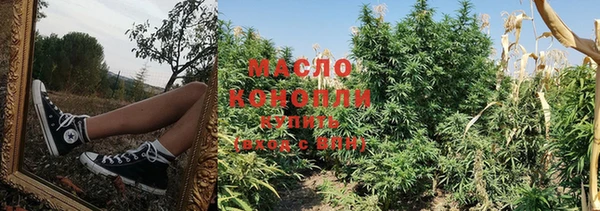 крисы Елизово