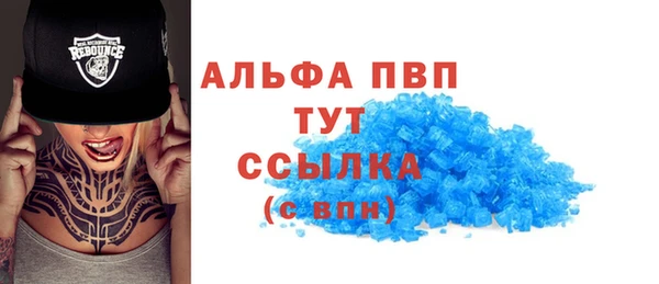 PSILOCYBIN Елабуга