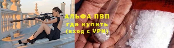 PSILOCYBIN Елабуга