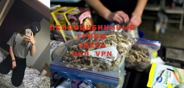 крисы Елизово