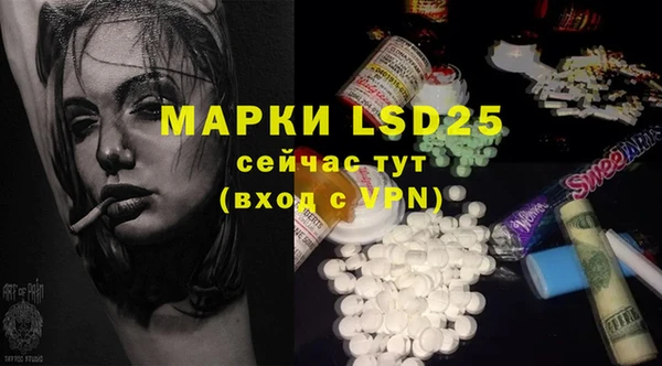 PSILOCYBIN Елабуга
