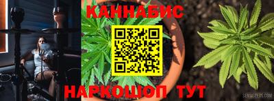 МДПВ Гагарин